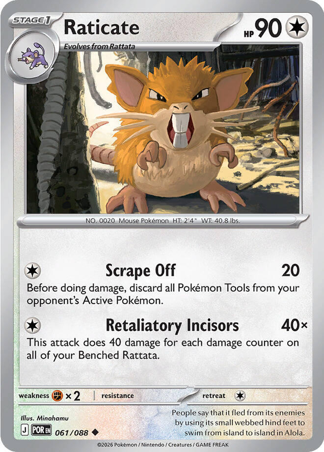 Raticate #61/88 - Perfect Order