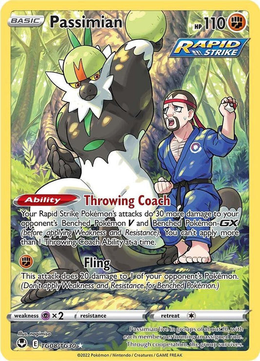 Passimian Trainer Gallery #TG08/TG30 - Silver Tempest