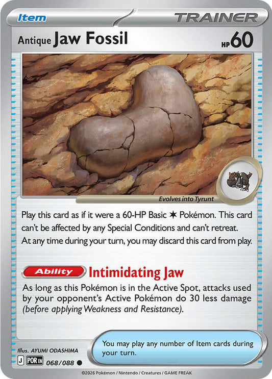 Antique Jaw Fossil #68/88 - Perfect Order